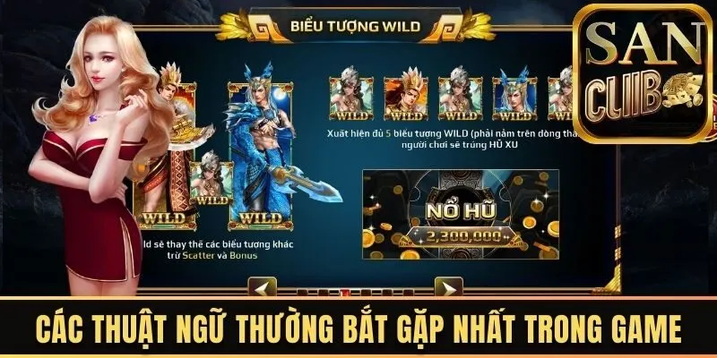 Các thuật ngữ thường bắt gặp nhất trong game 