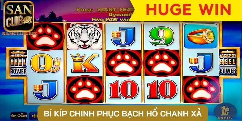 Bí kíp chinh phục bạch Hổ chanh xả